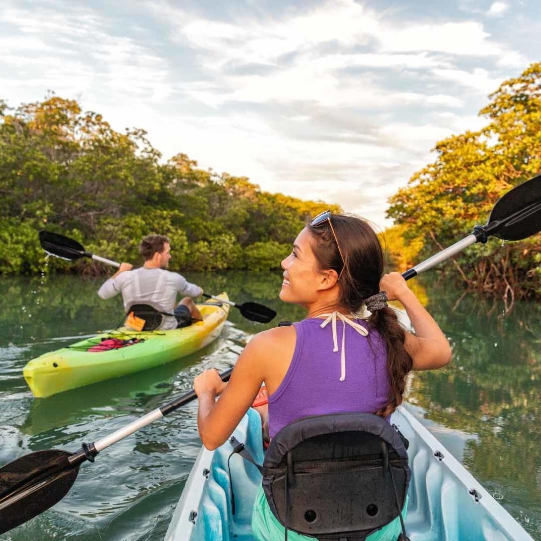 Journey through mangroves in the Gulf of Nicoya