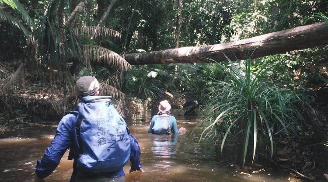 A man and a woman wade waist-deep through water in the jungle 