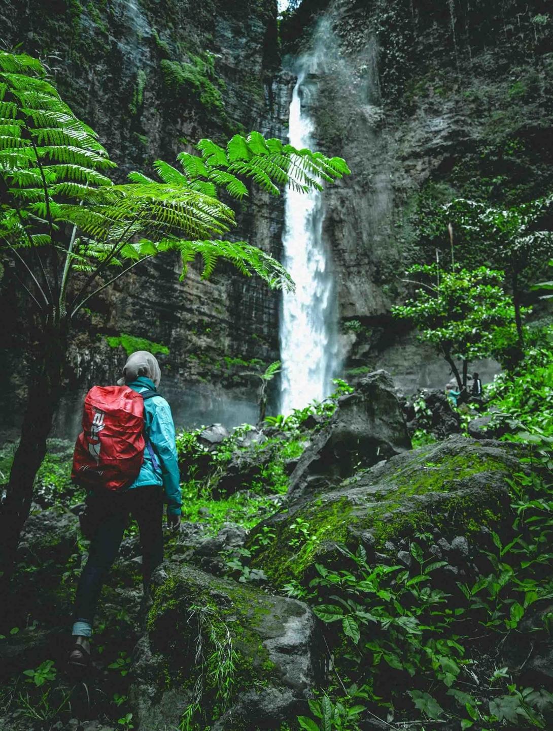 Live and play in the Monteverde Cloud Forest alongside plants, animals and local community members
