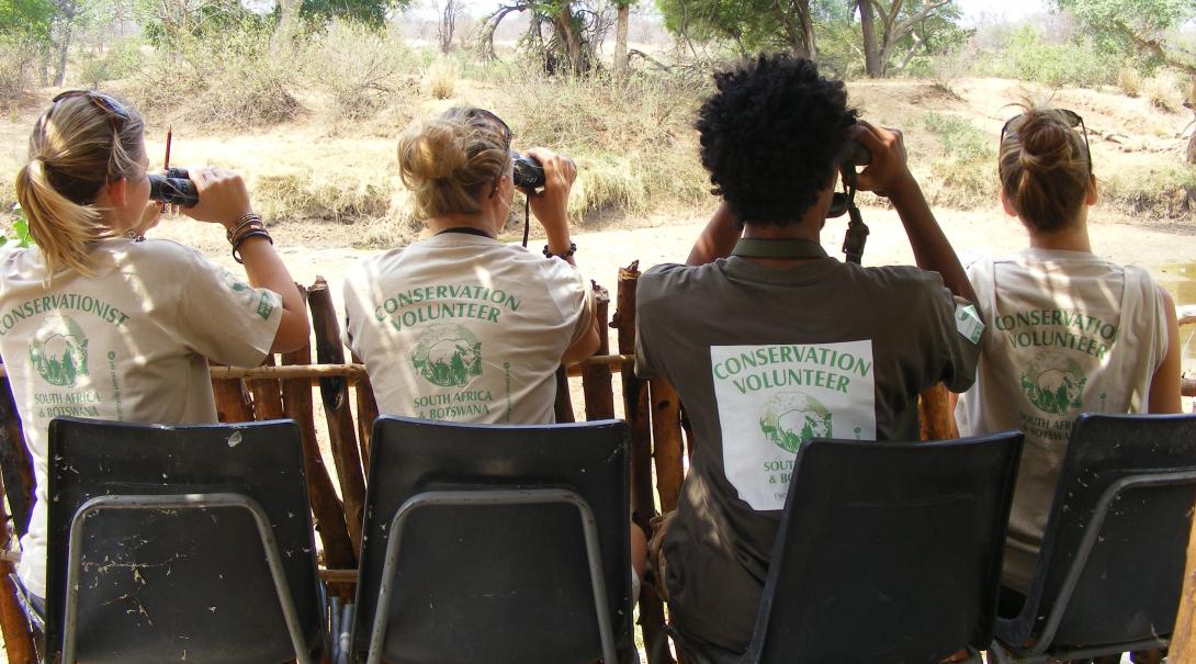 Fyra gruppvolontärer spanar efter vilda djur i Botswana med kikare under deras volontärresa.