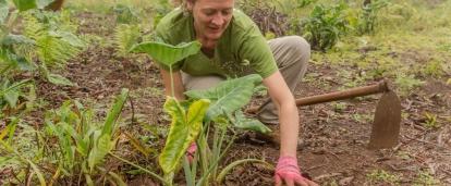 As part of her Conservation work in Ecuador for older adults, a Projects Abroad volunteer helps planting indigenous plants.    