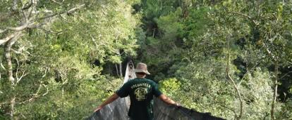 Projects Abroad volunteers scaling a canopy walkway during their Conservation volunteering in the Amazon Rainforest in Peru.