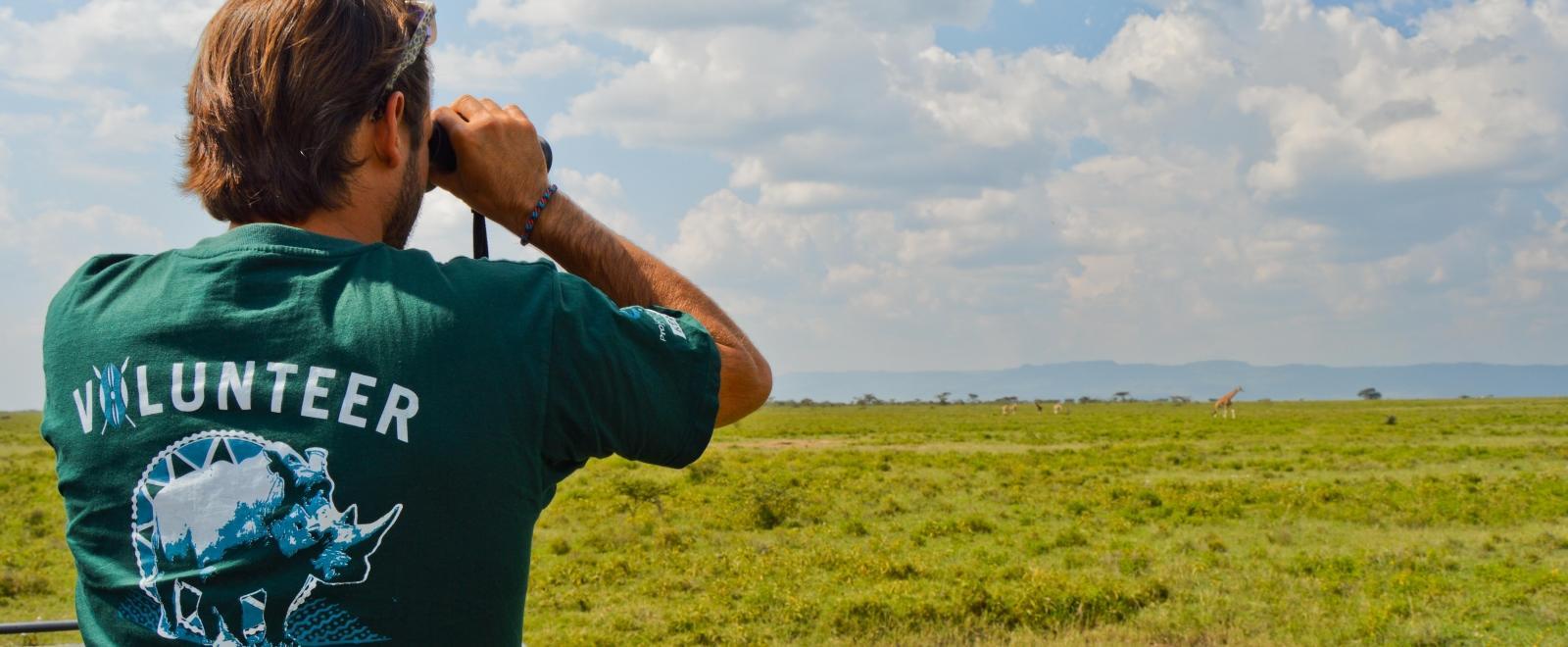 En volontär kartlägger giraffer på ett vilddjursreservat som en del av hans volontärarbete med djur utomlands.