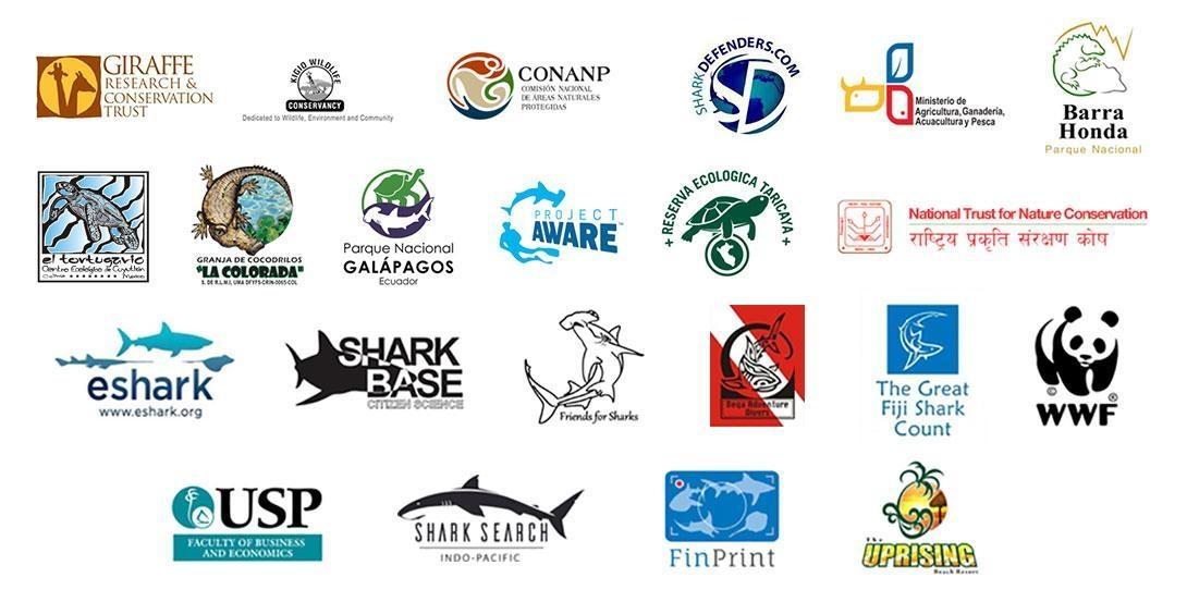 Projects Abroad volunteers work together with our conservation partner organisations to protect the environment.