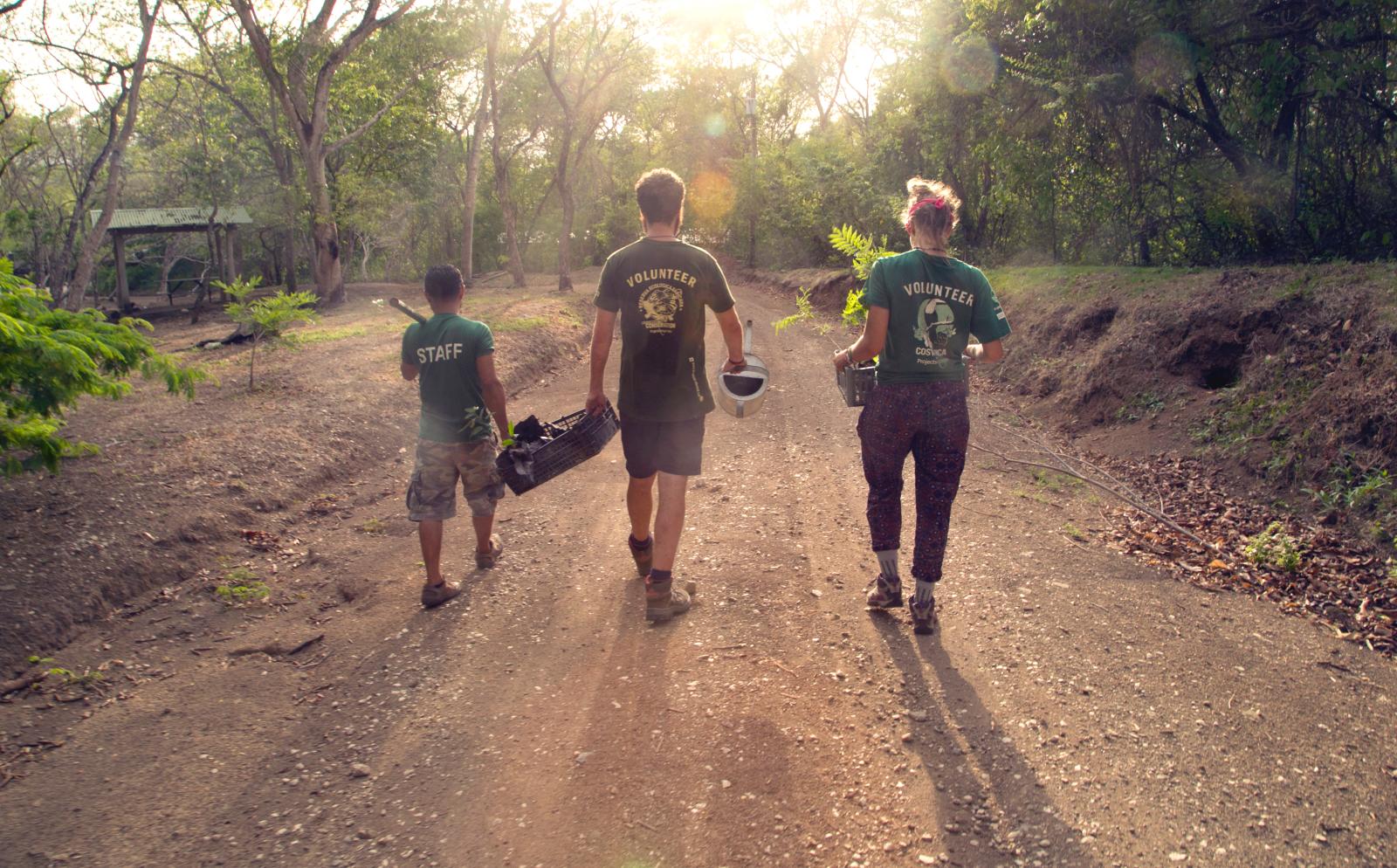 Conservation volunteers working together abroad