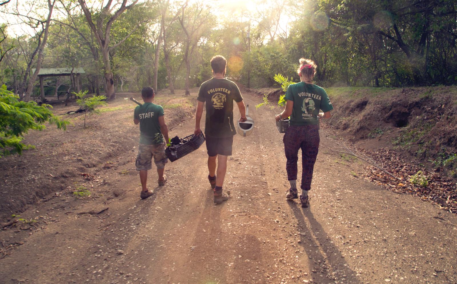 Conservation volunteers working together abroad