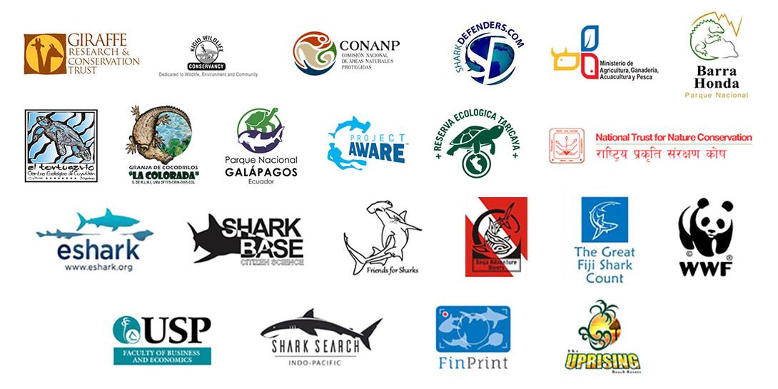 Projects Abroad volunteers work together with our conservation partner organisations to protect the environment.