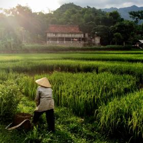 Volunteer in Vietnam
