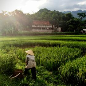 Volunteer in Vietnam
