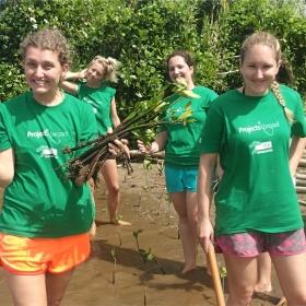 Voluntarias ambientales listas para replantar manglares en Fiyi.