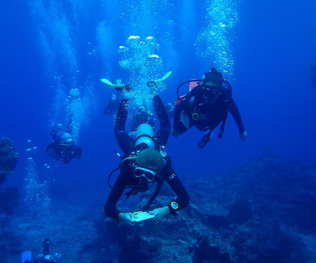 A volunteer in the Pacific collects scientific data during a dive for shark research. 
