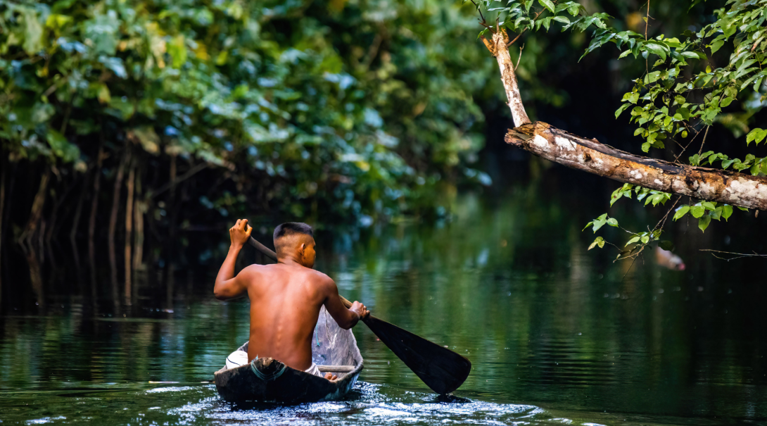 Live with Indigenous communities in the rainforest