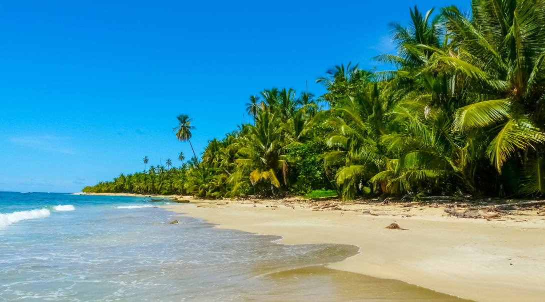 Relax on pristine beaches
