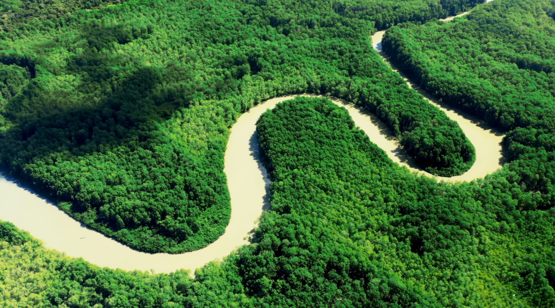 Explore the Tortuguero Canals