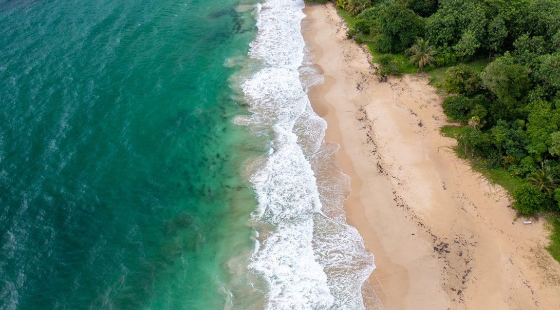 Visit the Caribbean and Pacific coasts