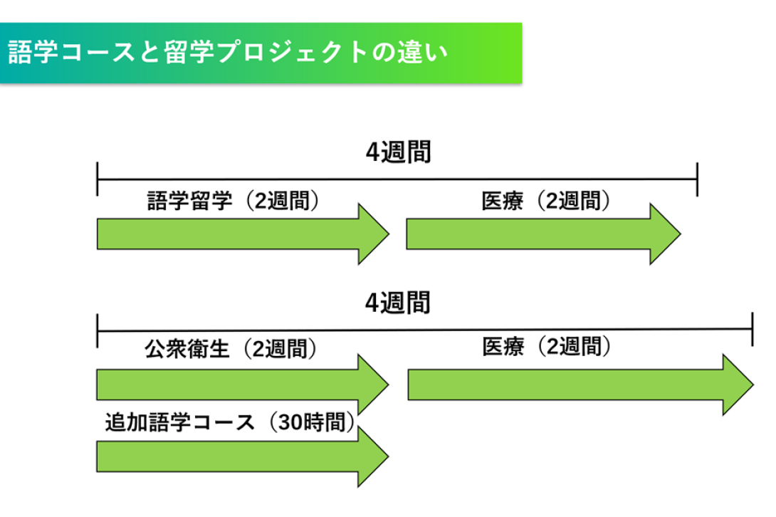  語学追加コースと語学留学プログラムの違い