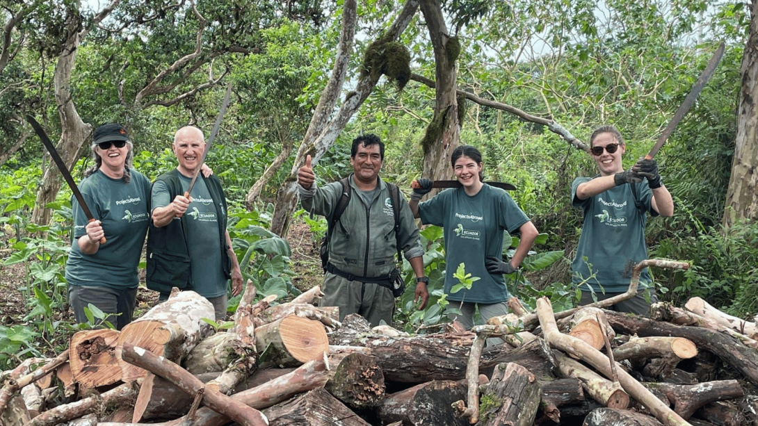 A group of Projects Abroad volunteers stand behind a large pile of wood collected as part of our wildlife conservation efforts in the Galapagos Islands